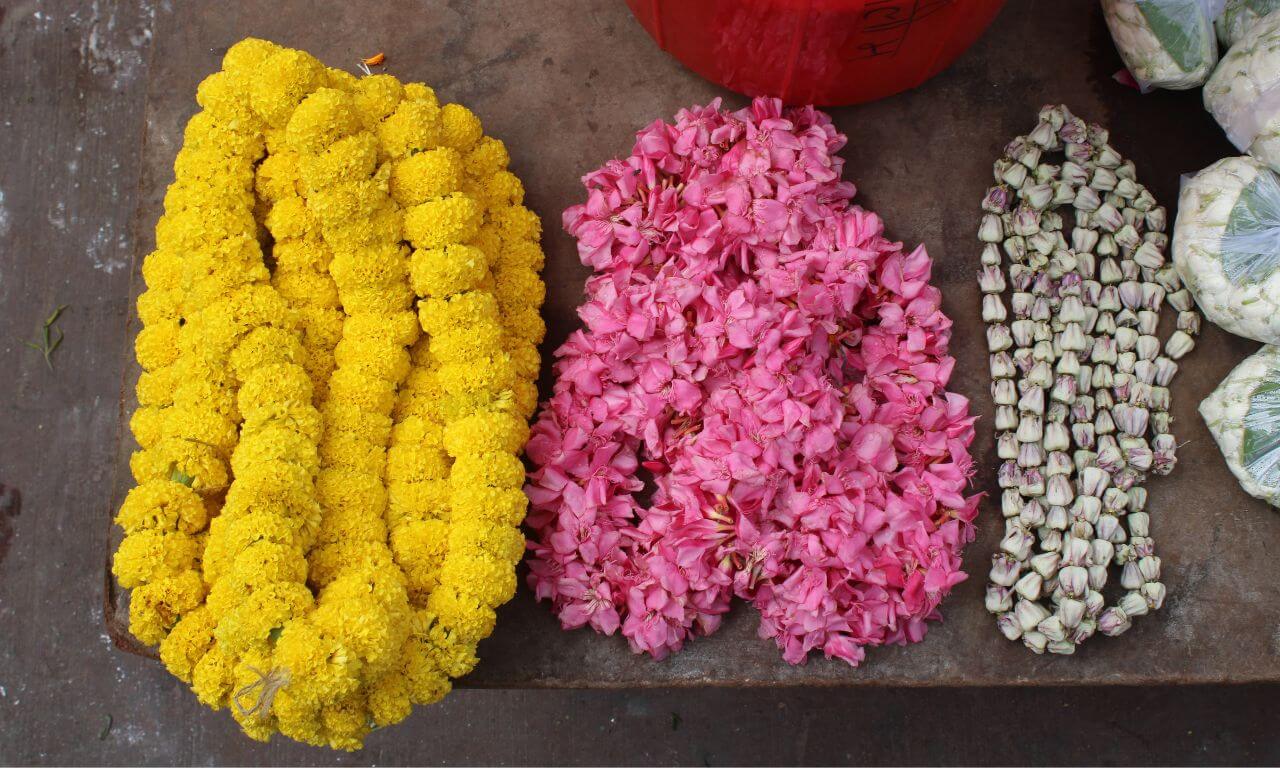 India_Fiori_India spirituale