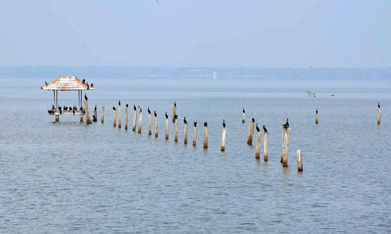 India_Kumarakom_Lago_Vembanad_Melodia_balneare