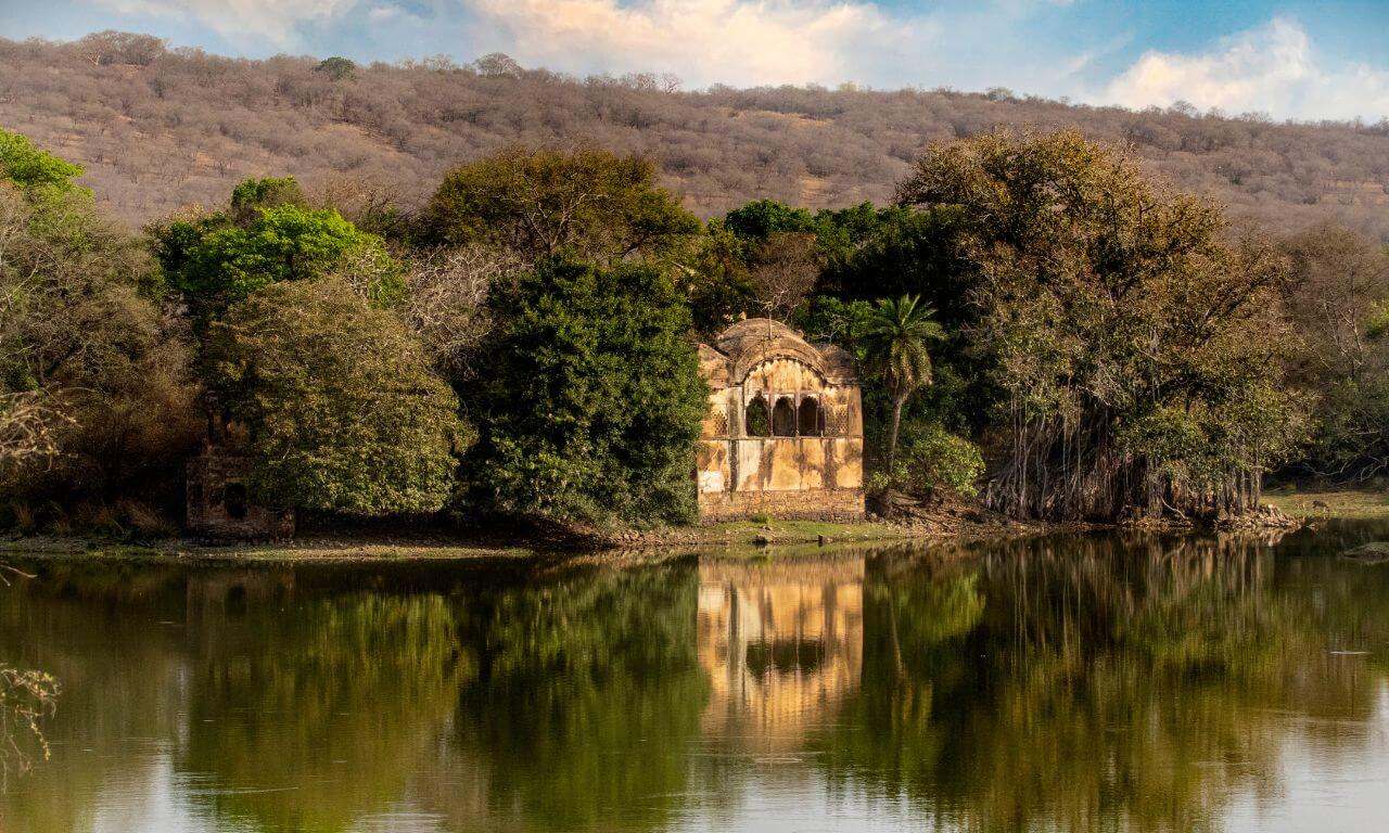India_Ranthambore_Rovine_Sulla_scia_dei_Moghul_e_la_tigre