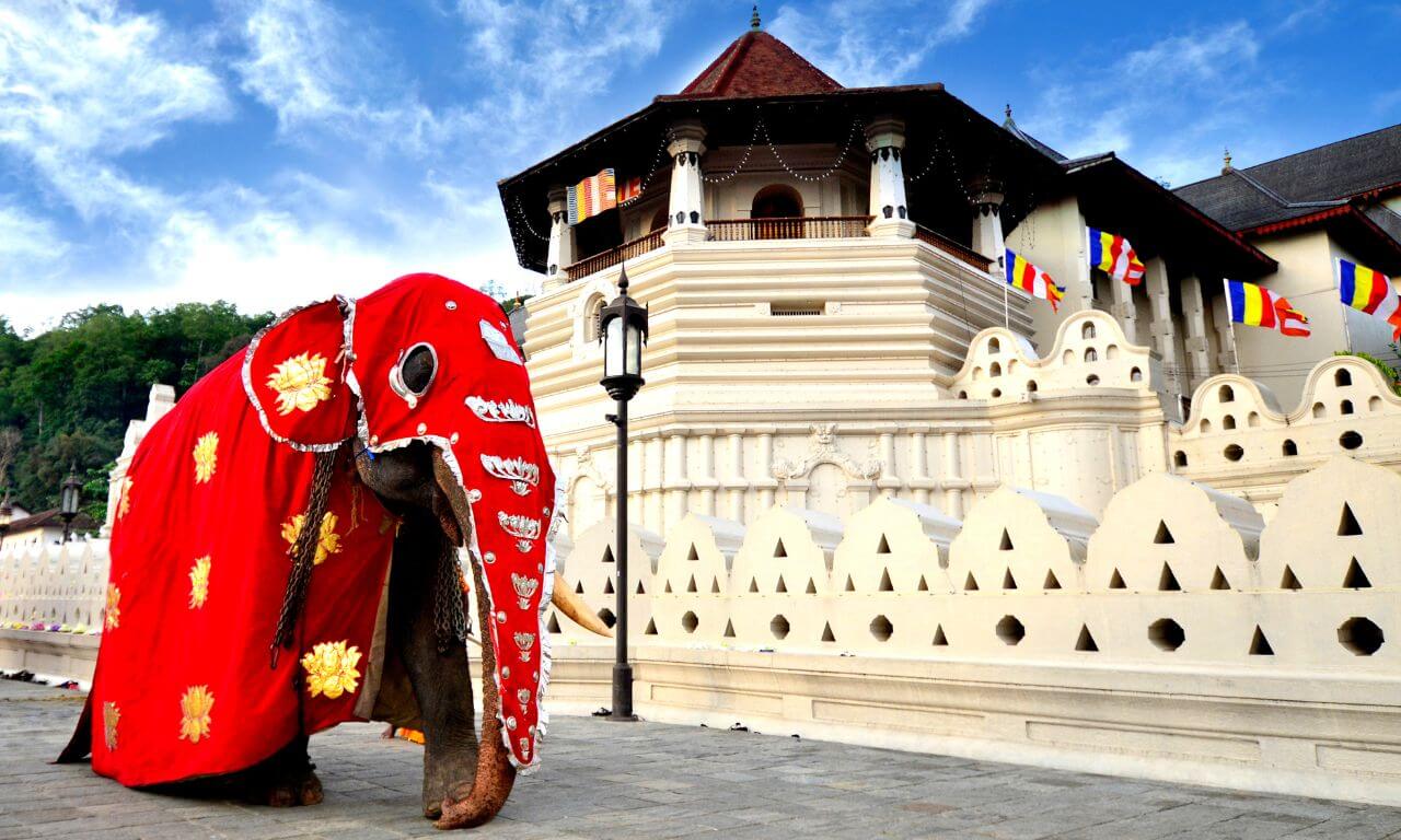 Sri_Lanka_Kandy_Tempio_dente_Buddha_Magia_della_bellezza