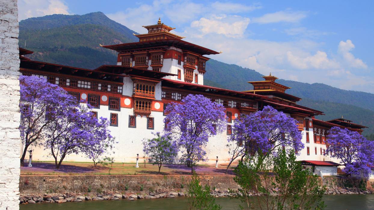 Bhutan_Punakha_Dzong_Bandiere_al_vento_e_orizzonti_del_Bhutan_Carosello