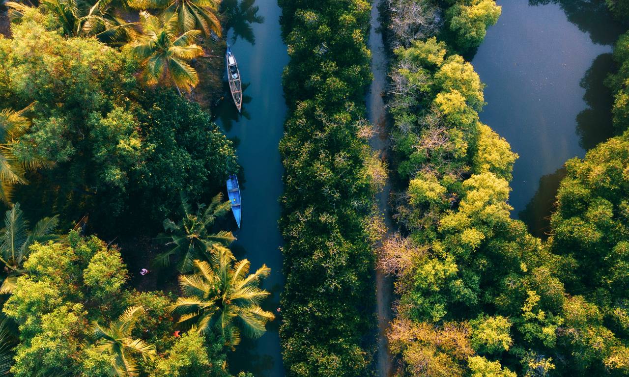 India_Colori_del_Sud_Kirtipur_Backwaters_Aerial_View_carosello