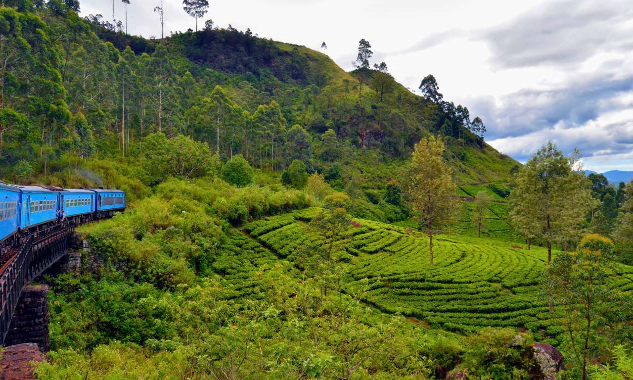 Sri Lanka_Strade_nel_verde_Nuwara_Eliya_Paesaggio_carosello