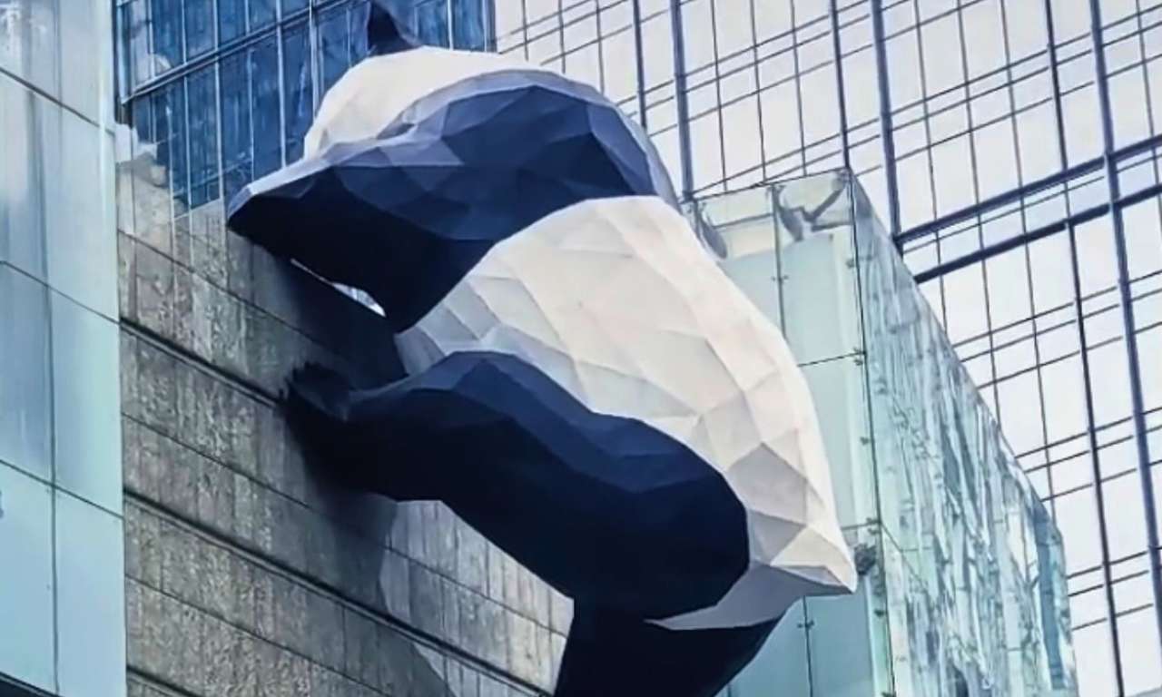 Cina_Fuori_rotta_Chengdu_Panda_su_palazzo_carosello