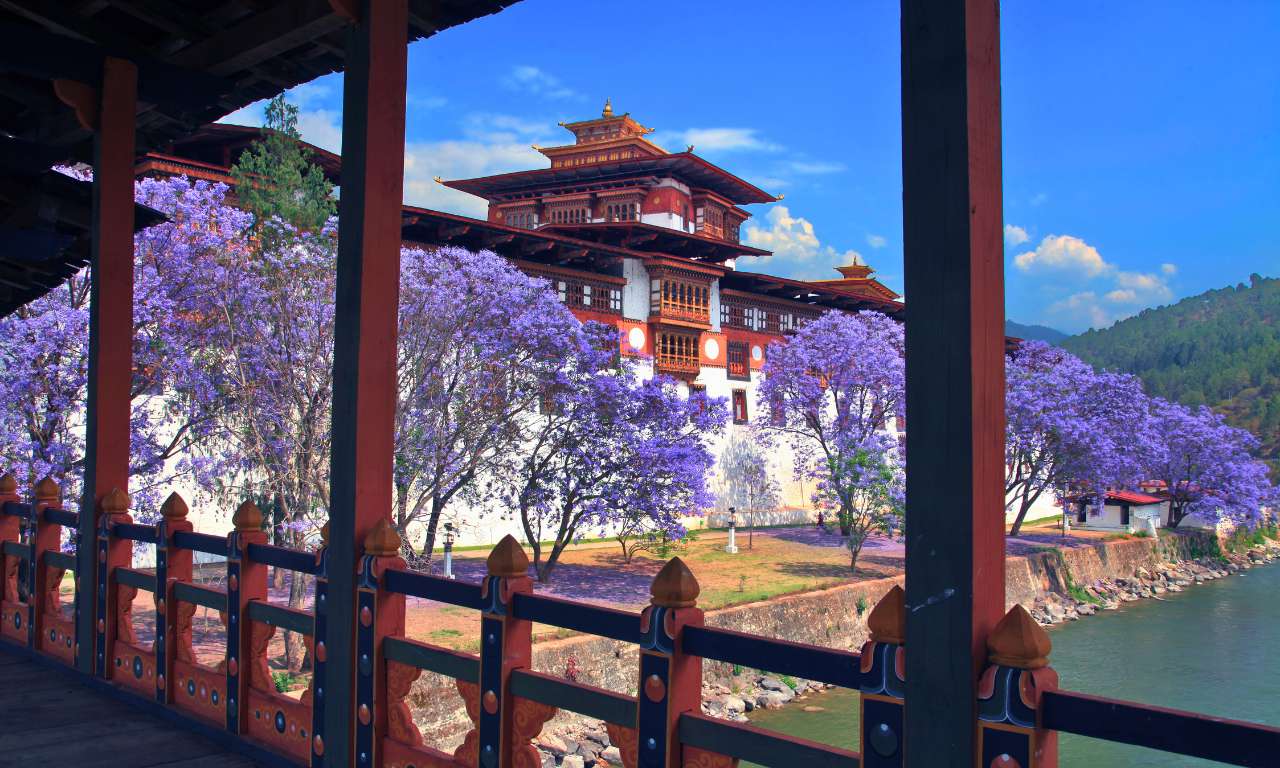 India_Bhutan_Sotto_lo_stesso_cielo_Punakha_Dzong_carosello